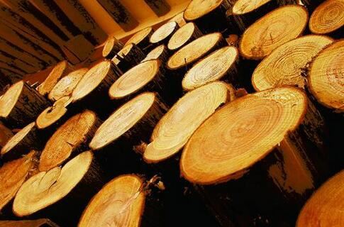 Wood panel wallboard Wood panel wallboard