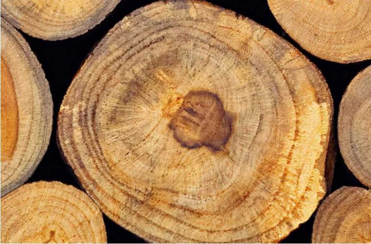 What is the wood veneer panel installation main matters What is the wood veneer panel installation main matters