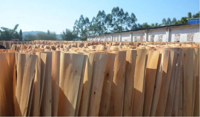 wall panels 