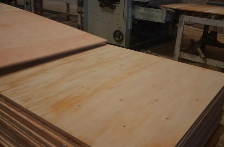 Are environmentally friendly building materials really environmentally friendly? Are environmentally friendly building materials really environmentally friendly?