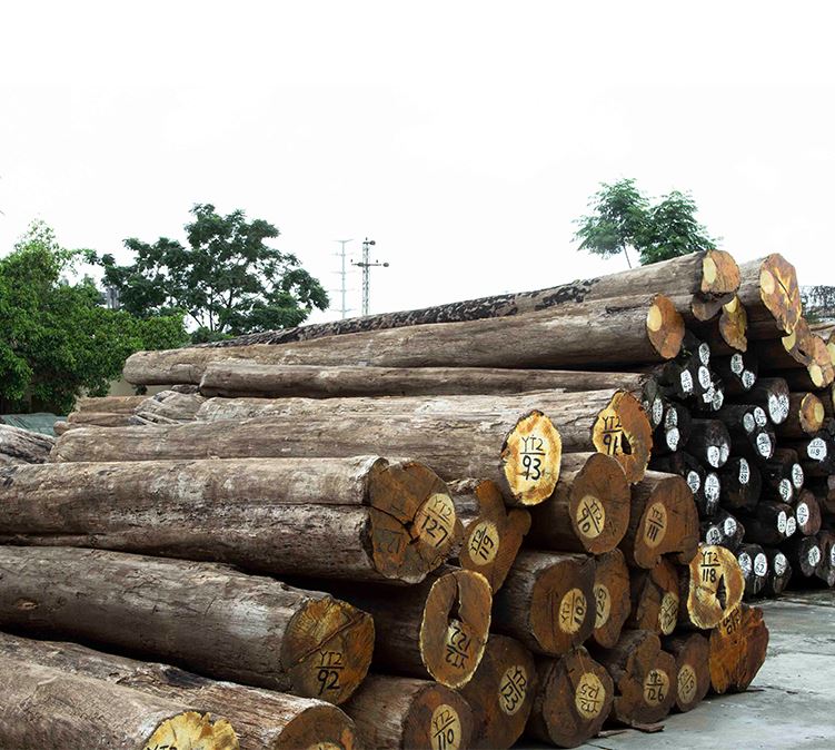 European log timber trade