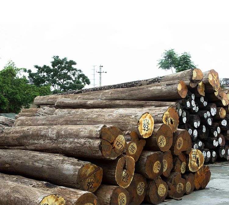 South American lumber involved in price surge South American lumber involved in price surge