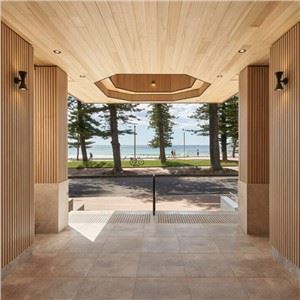 Wood Accent Wall And Ceiling