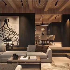 Wood Wall Ceiling Paneling Modern Interior Design