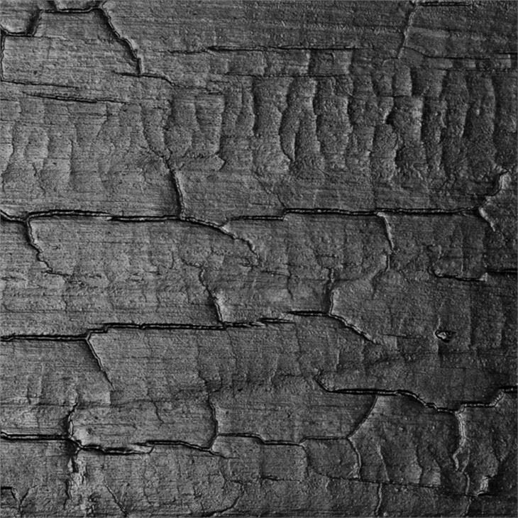 Exterior Use Shou Sugi Ban Accent Board on Autumn Promotion Exterior Use Shou Sugi Ban Accent Board on Autumn Promotion