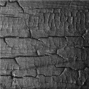 Exterior Use Shou Sugi Ban Accent Board on Autumn Promotion